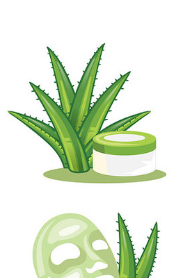 人參護(hù)膚品矢量素材 化妝品視覺設(shè)計的魅力與創(chuàng)新